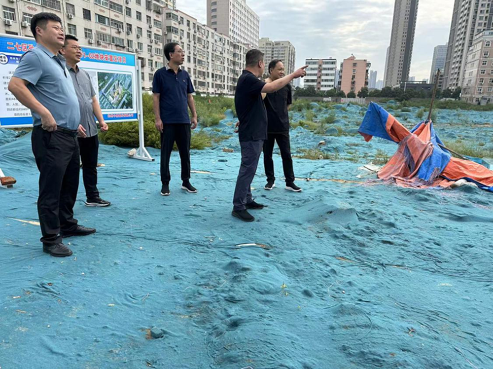 乐鱼平台-乐鱼(中国)一站式服务平台
党委委员、副总经理张岩到侯寨新镇区安置区调研项目建设工作